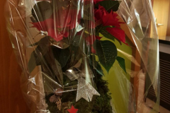 IMG-20231124-WA0016