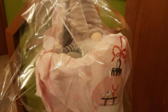 IMG-20231124-WA0017
