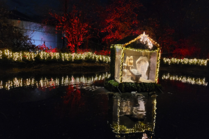 2023-11-25 Waldweihnachtsmarkt Velen