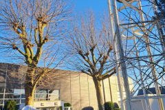 IMG-20240120-WA0001