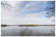 50D_2077