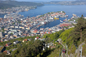 IMG-20250512-WA0002