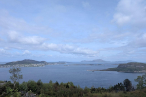IMG-20250514-WA0003