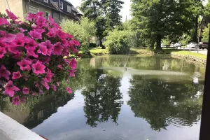 alte_wasser03
