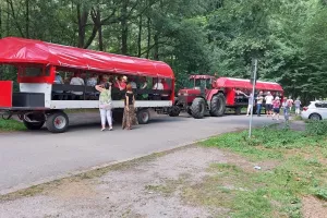 planwagen08
