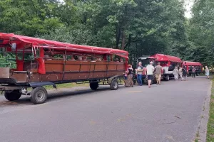 planwagen09