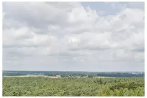 DF0_0067