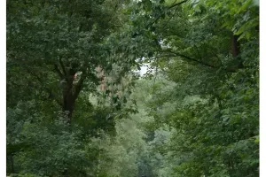 RAD_7759