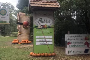sebbel2025_10