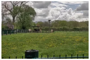 2026-04-19 Fahrradtour