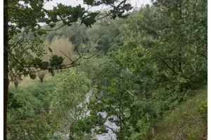 DF0_0461