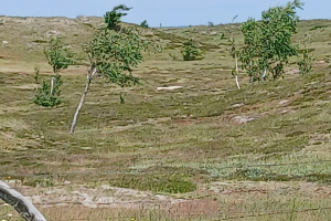 IMG-20260618-WA0012