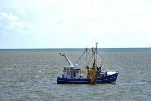 borkum_08