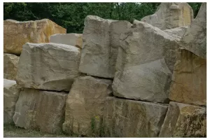 50D_6733
