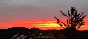 tos_ms_85