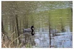 112-RAD_6338-1920w