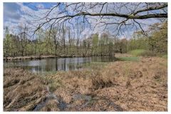 113-RAD_6340-1920w