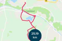 131-Screenshot_20190825-195349_Fitbit-1920w