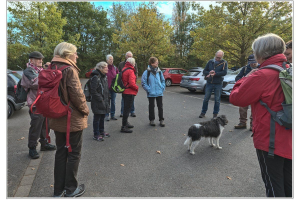 Herbstliche Rucksackwanderung am 06.11.2022