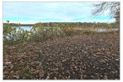 117-50D_1016-1920w