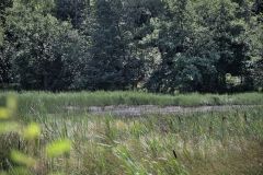 484-DF0_9251-1920w
