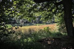 487-DF0_9252-1920w
