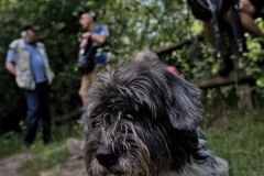 488-DF0_9255-1920w