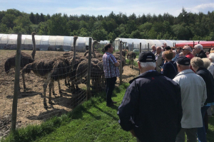 Wanderfahrt vom 26.05.2019
