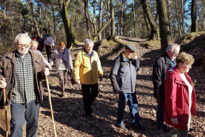 Wanderung vom 24.02.2019