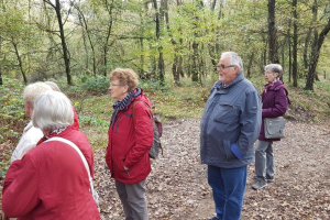 Wanderung vom 27.10.2019